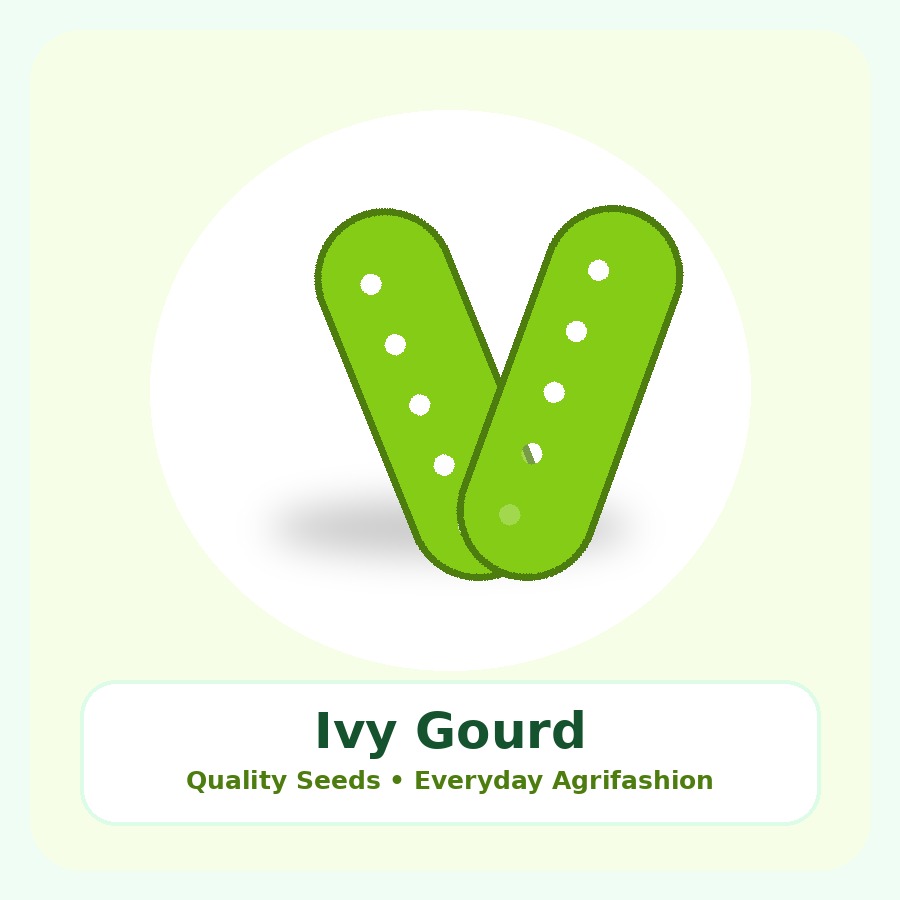 Ivy Gourd Seeds 25g