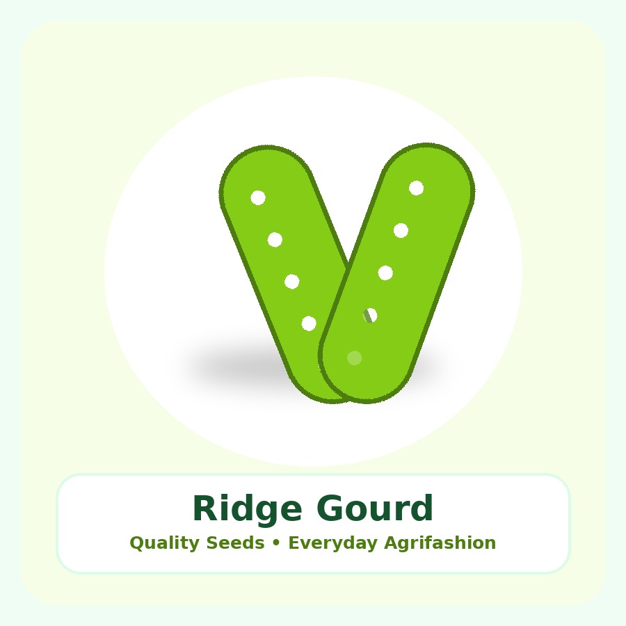 Ridge Gourd Seeds 500g